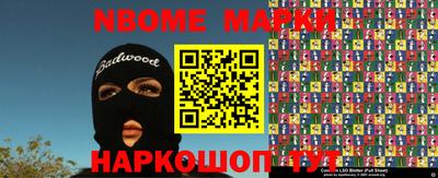 амф Сланцы