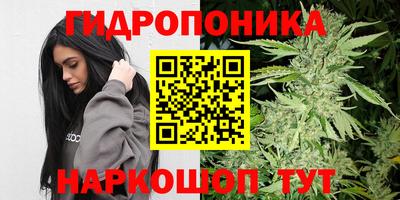 амф Сланцы