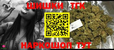 амф Сланцы