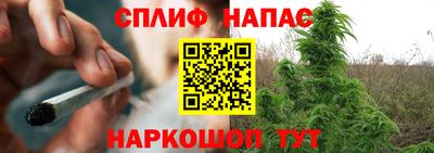 крисы Славянск-на-Кубани