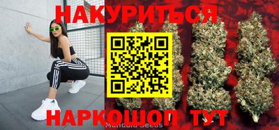 крисы Славянск-на-Кубани