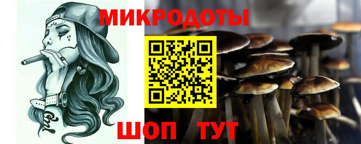 купить закладку  Вход с VPN  Сатка  Псилоцибиновые грибы Cubensis 
